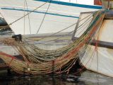 DSCN8482.JPG