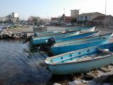 DSCN8529.JPG
