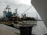 DSCN3591.JPG
