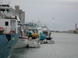 DSCN3601.JPG