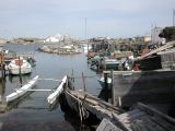 DSCN3773.JPG