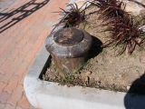 IMG_3454.JPG