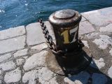 IMG_2781.JPG