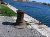IMG_3924.JPG
