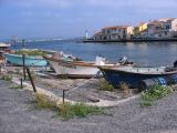 IMG_4203.JPG