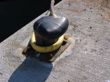 IMG_2817.JPG