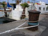 IMG_4287.JPG