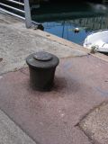 IMG_4399.JPG