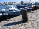 IMG_2859.JPG