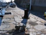 IMG_2868.JPG