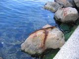 IMG_2898.JPG