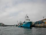 DSCN3137.JPG