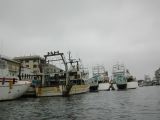 DSCN3014.JPG