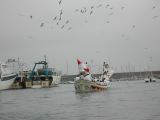 DSCN3026.JPG