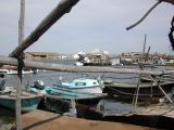 DSCN3801