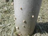 DSCN3826