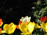 IMG_2347.JPG