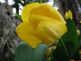 IMG_2256.JPG