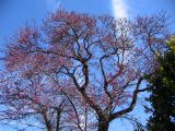 IMG_2258.JPG