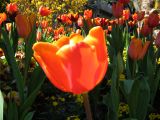 IMG_2314.JPG