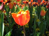 IMG_2315.JPG