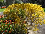 IMG_2324.JPG