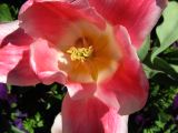 IMG_2329.JPG